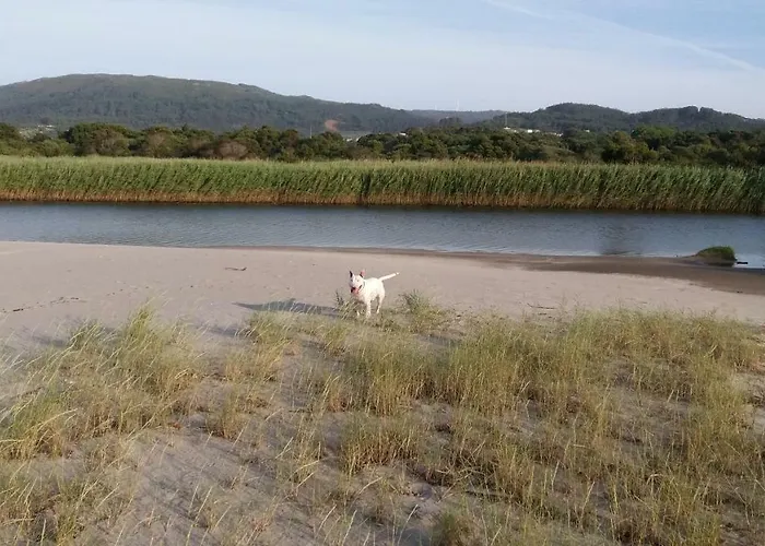 Blue Anchor Апартаменты